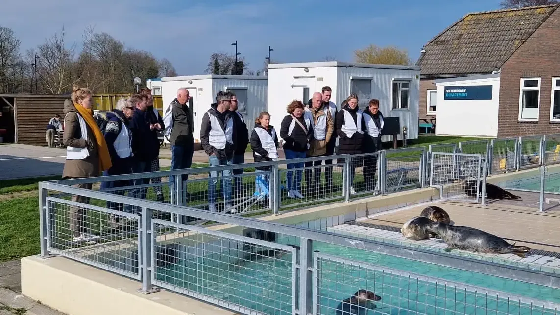 Pieterburen_WeSeeDo_1_origineel_uitsnede_2.original