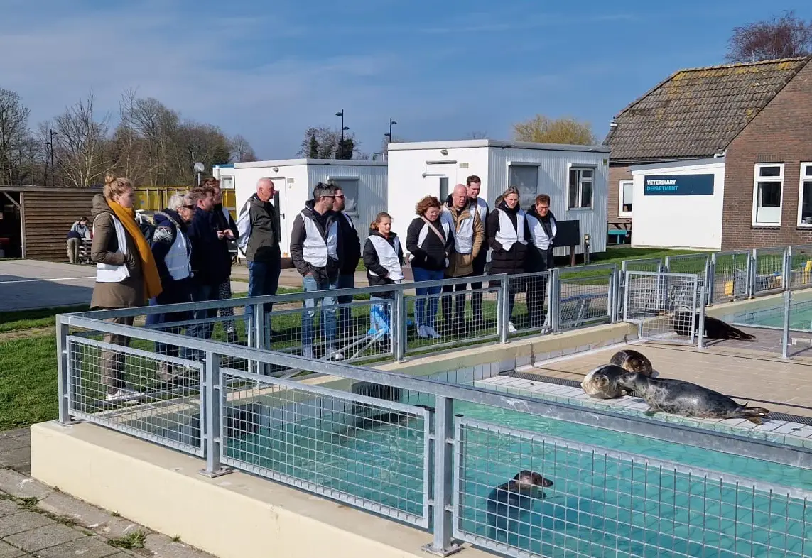 Het WeSeeDo team bezoekt het zeehondencentrum Pieterburen