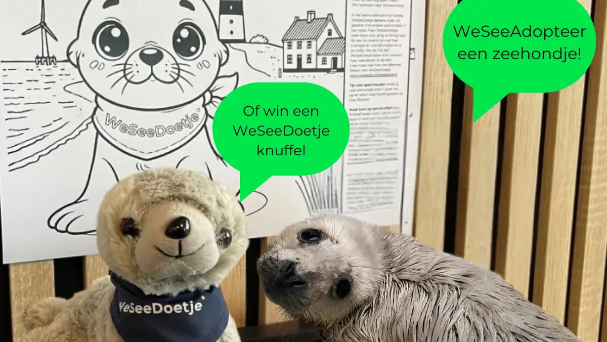 WeSeeDo_WeSeeDoetje_zeehondje_kleurplaat.original