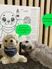 WeSeeDo_WeSeeDoetje_zeehondje_kleurplaat.original